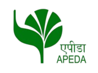 Apida